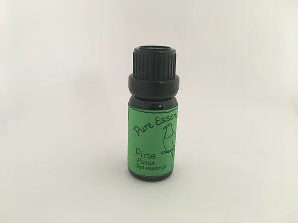 Kereru - Essential Oil Pine - [12ml]