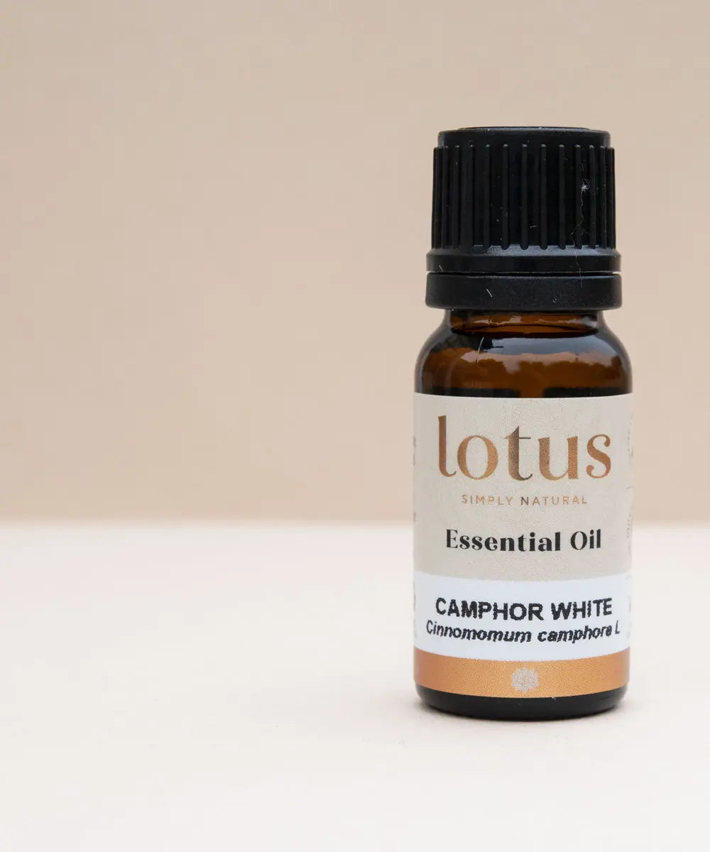 Lotus Oils - Camphor White Oil - [10ml]