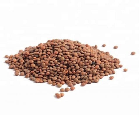 Organic Brown Lentils - [100g]