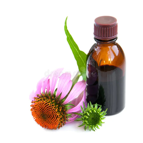 Organics Out West - Echinacea - [50ml]