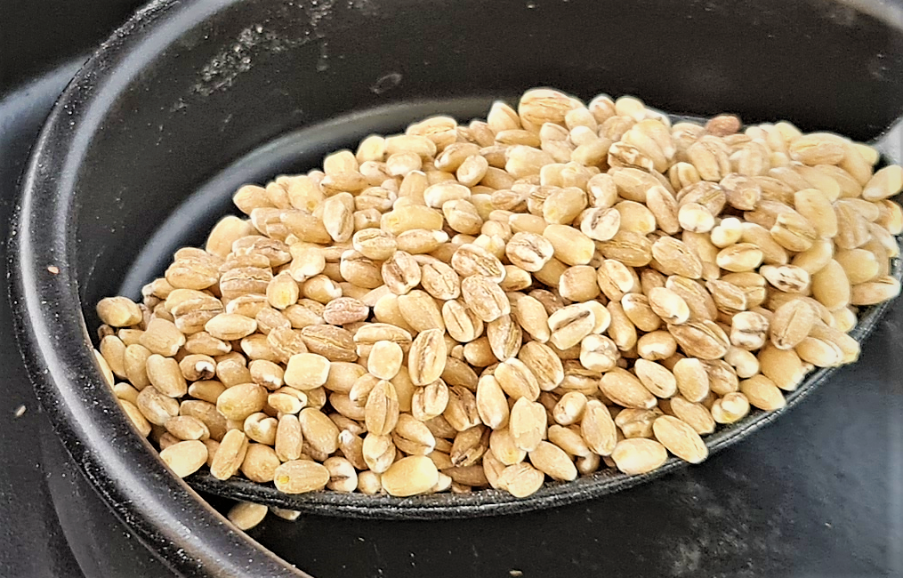 Spice N Easy - Pearled Barley - [1KG]
